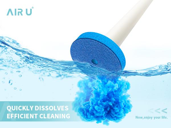 Disposable Toilet Brush